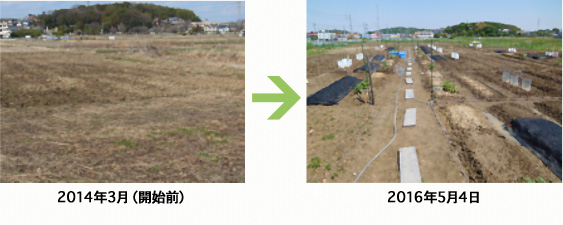 farm-before-after